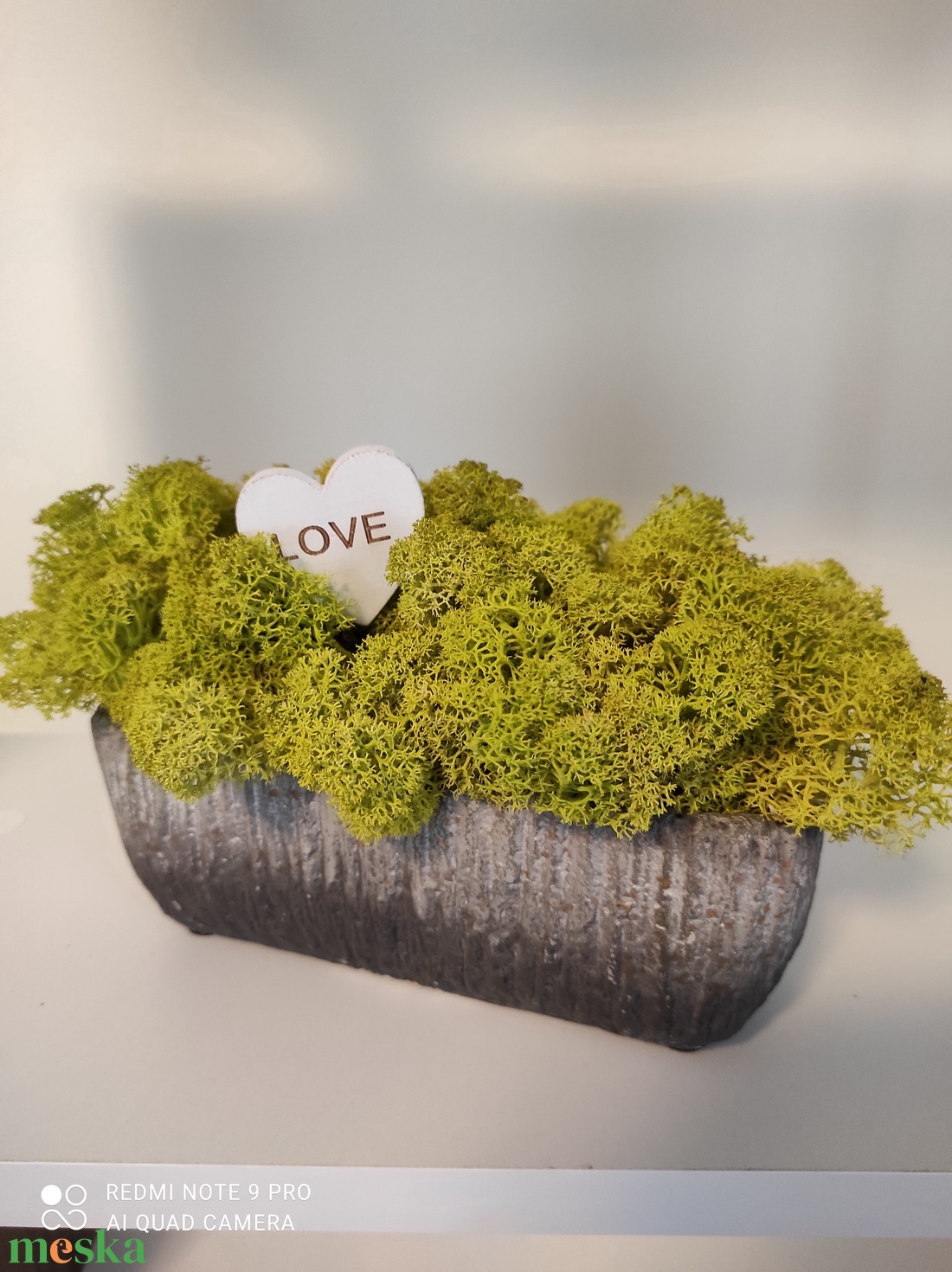 Színes élő izlandi zuzmók beton kaspóban  - otthon & életmód - dekoráció - virágdísz és tartó - csokor & virágdísz - Meska.hu