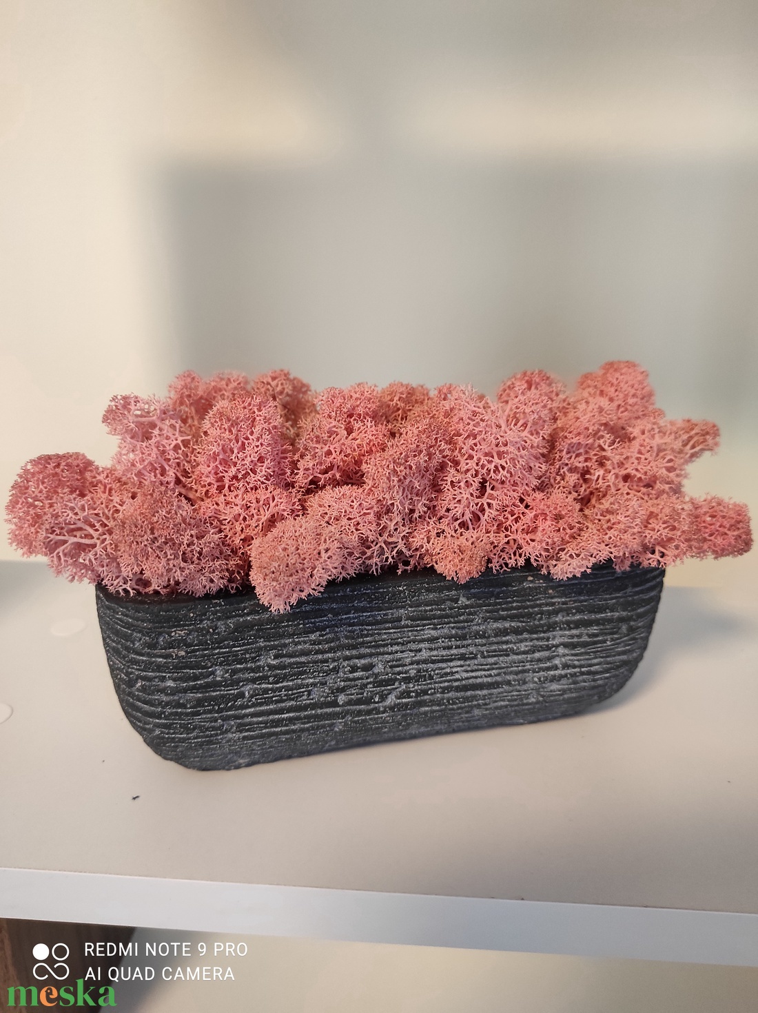 Színes élő izlandi zuzmók beton kaspóban  - otthon & életmód - dekoráció - virágdísz és tartó - csokor & virágdísz - Meska.hu