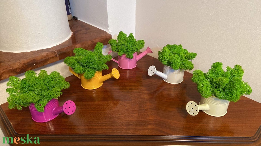 Egyedi vagy céges ajándék élő izlandi zuzmóval! - esküvő - emlék & ajándék - köszönőajándék - Meska.hu