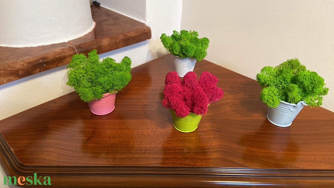 Egyedi vagy céges ajándék élő izlandi zuzmóval! - esküvő - emlék & ajándék - köszönőajándék - Meska.hu