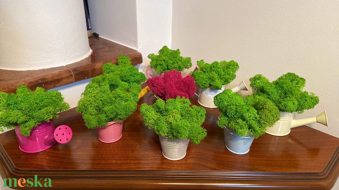 Egyedi vagy céges ajándék élő izlandi zuzmóval! - esküvő - emlék & ajándék - köszönőajándék - Meska.hu