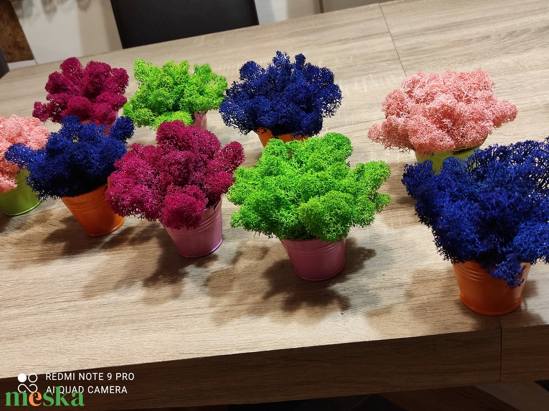 Egyedi vagy céges ajándék élő izlandi zuzmóval! - esküvő - emlék & ajándék - köszönőajándék - Meska.hu