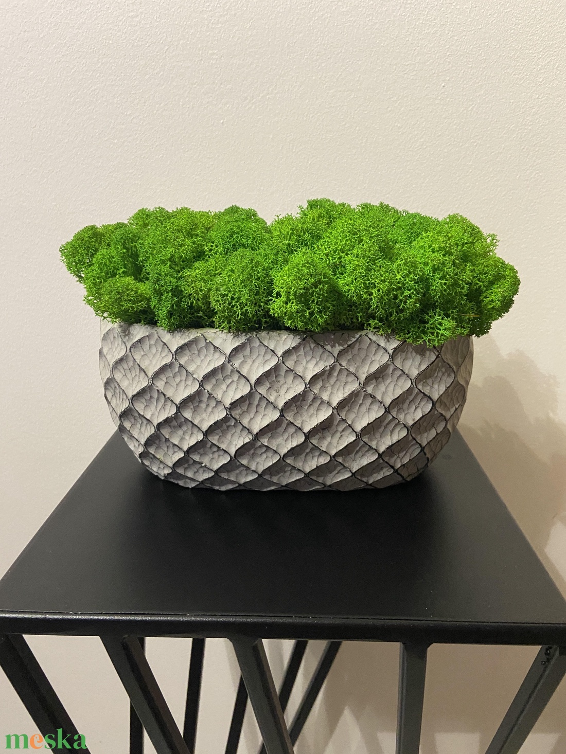 Izlandi zuzmó modern kaspóban  - otthon & életmód - dekoráció - asztal és polc dekoráció - zuzmódekoráció, mohadekoráció - Meska.hu