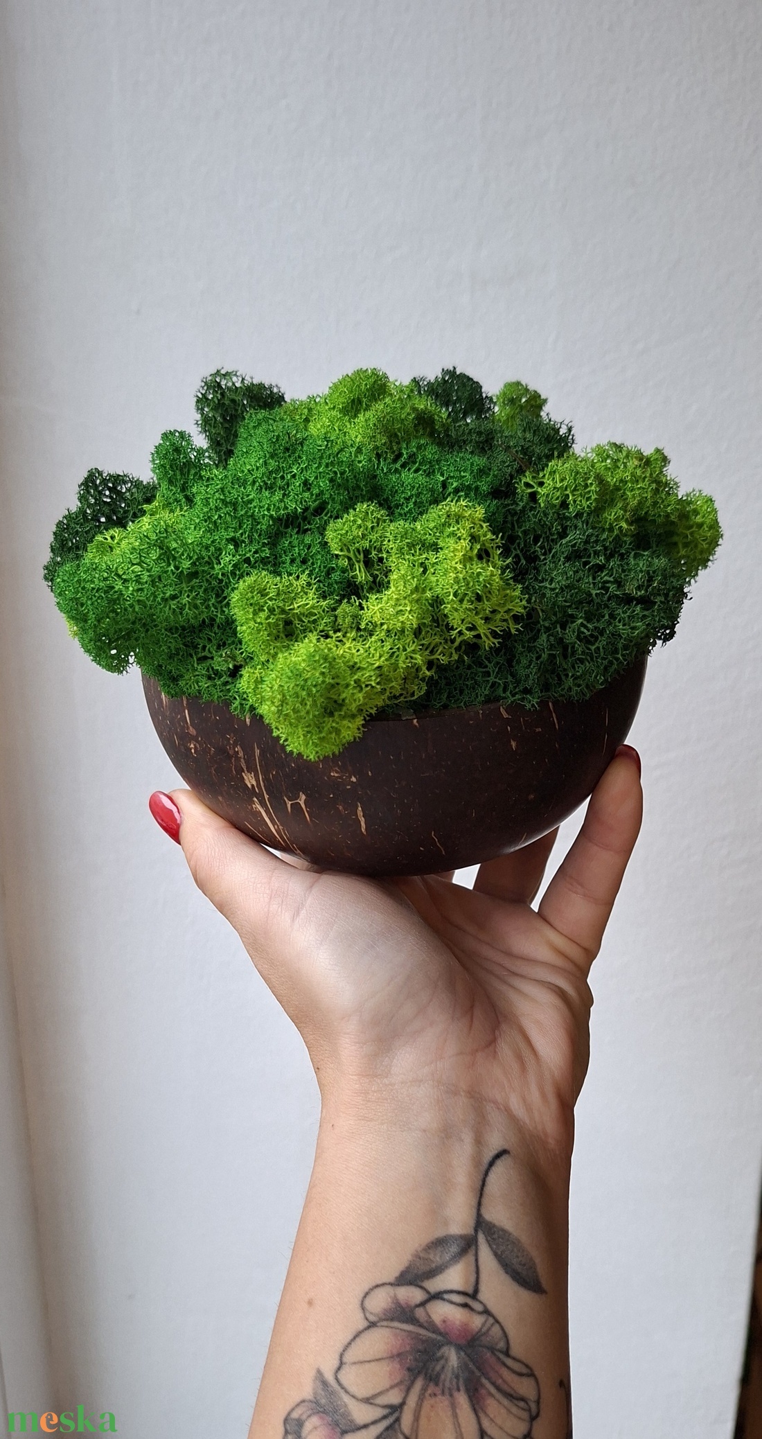 Kókuszdió Izlandi zuzmóval - otthon & életmód - dekoráció - asztal és polc dekoráció - zuzmódekoráció, mohadekoráció - Meska.hu