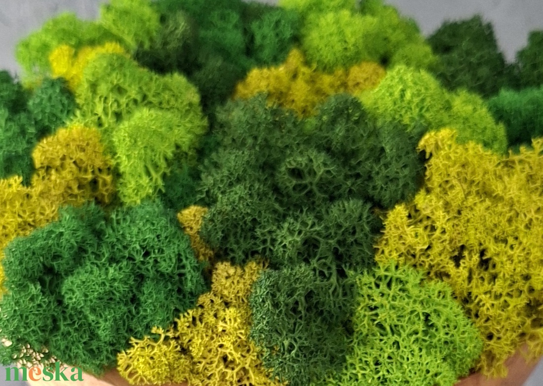 Kókuszdió Izlandi zuzmóval - otthon & életmód - dekoráció - asztal és polc dekoráció - zuzmódekoráció, mohadekoráció - Meska.hu