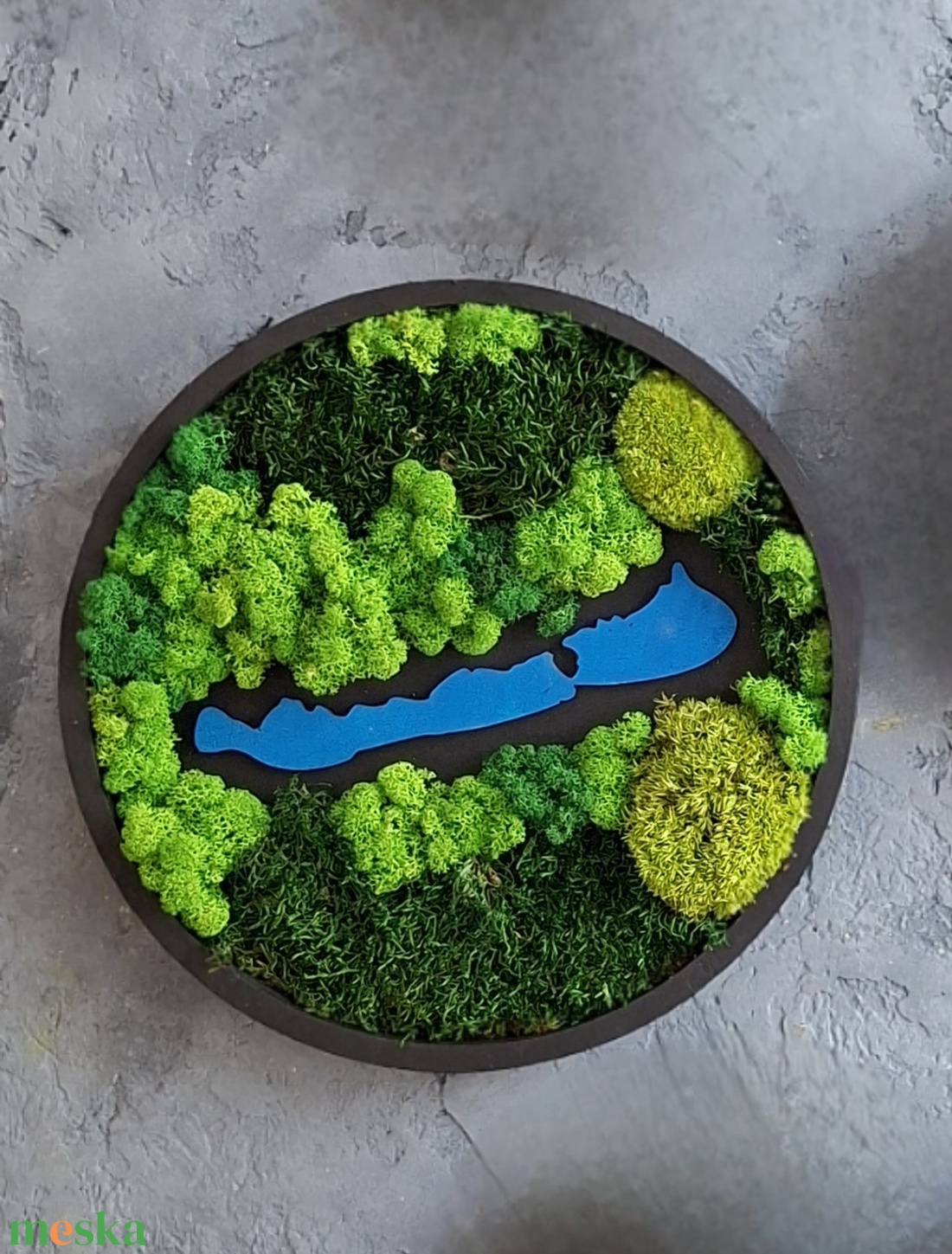 Balaton - otthon & életmód - dekoráció - fali és függő dekoráció - zuzmókép, mohakép - Meska.hu