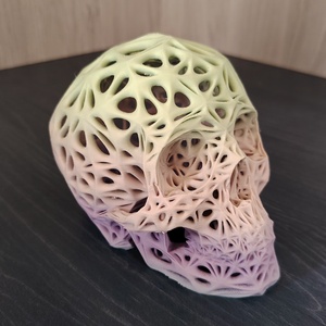 3d nyomtatott koponya - otthon & életmód - dekoráció - dísztárgy - Meska.hu