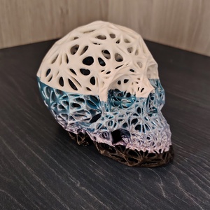 3d nyomtatott koponya - otthon & életmód - dekoráció - dísztárgy - Meska.hu