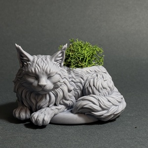 Maine Coon cica kaspó - Meska.hu
