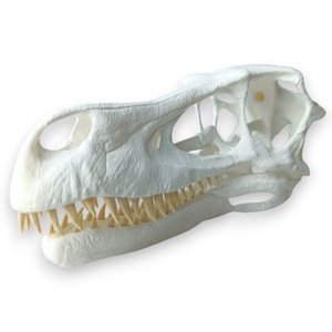 3D nyomtatott raptor koponya  Időutazás a múltba! - otthon & életmód - dekoráció - dísztárgy - Meska.hu