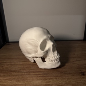 Halloweeni koponya - otthon & életmód - dekoráció - halloween - halloweeni asztaldísz - Meska.hu Halloweeni koponya - otthon & életmód - dekoráció - halloween - halloweeni asztaldísz - Meska.hu