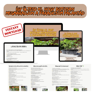 Palántázási túlélő lista ? � Kiültetési útmutató kezdőknek (letölthető PDF), Otthon & Életmód, Ház & Kert, Növény & Veteményes, Fotó, grafika, rajz, illusztráció, MESKA