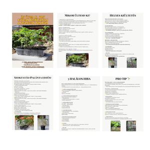 Palántázási túlélő lista � � Kiültetési útmutató kezdőknek (letölthető PDF) - otthon & életmód - ház & kert - növény & veteményes - Meska.hu