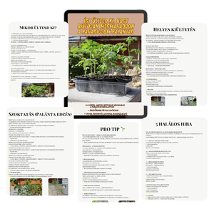 Palántázási túlélő lista � � Kiültetési útmutató kezdőknek (letölthető PDF) - otthon & életmód - ház & kert - növény & veteményes - Meska.hu
