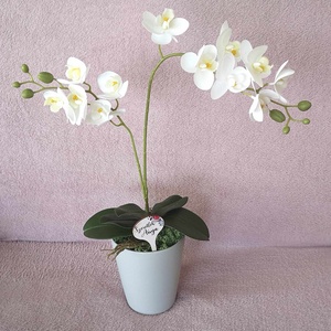 Élethű orchidea, Otthon & Lakás, Dekoráció, Asztal és polc dekoráció, Asztaldísz, Virágkötés, MESKA