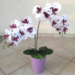 Élethű orchidea, Otthon & Életmód, Dekoráció, Asztal és polc dekoráció, Asztaldísz, Virágkötés, MESKA