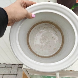 Patikaedény, gyógyszertári tégely - otthon & életmód - dekoráció - dísztárgy - Meska.hu