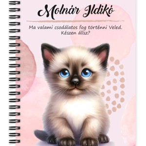 Személyre szabható - Cuki ragdoll cicus mintás A5-ös füzet, Otthon & Életmód, Papír, írószer, Jegyzetfüzet & Napló, , MESKA