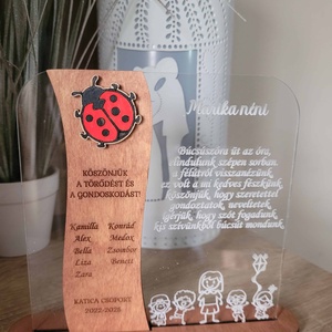 Ajándék óvónéninek , Játék & Sport, Ovis felszerelés, Egyéb ovis kiegészítő, Gravírozás, pirográfia, MESKA