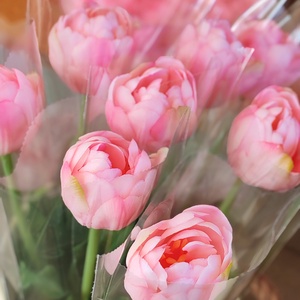 Szálas tulipán celofán csomagolásban  - otthon & életmód - virágdekoráció - virágok - szálas virág - Meska.hu