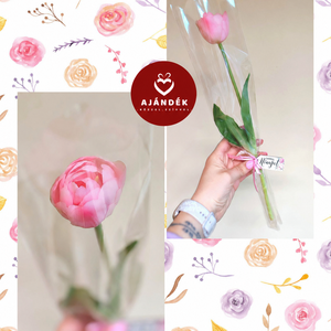 Szálas tulipán celofán csomagolásban  - Meska.hu