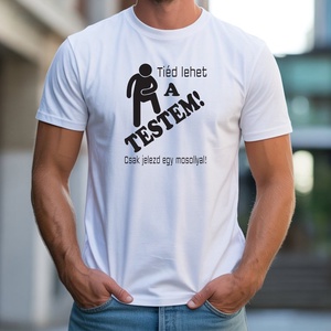 Tiéd lehet a testem! férfi póló, Ruha & Divat, Férfi ruha, Póló, Decoupage, transzfer és szalvétatechnika, Fotó, grafika, rajz, illusztráció, MESKA