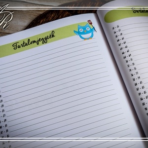 Baglyos receptfüzet kiegészítőkkel - otthon & életmód - konyhafelszerelés, tálalás - sütés, főzés - receptfüzet - Meska.hu