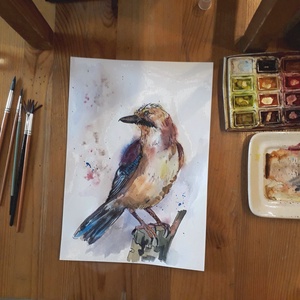 Eurasian jay (Szajkó), 2024 - művészet - festmény - akvarell - Meska.hu