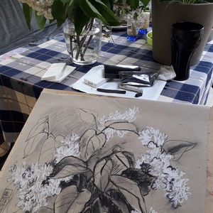 Feher orgona (botanikai etűd) - művészet - grafika & illusztráció - faszén - Meska.hu