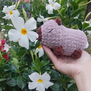 Amigurumi capybara - Meska.hu