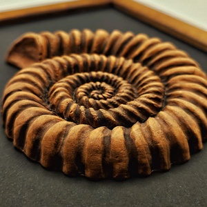 Ammonitesz - kerámia dísz - otthon & életmód - dekoráció - fali és függő dekoráció - falra akasztható dekor - Meska.hu