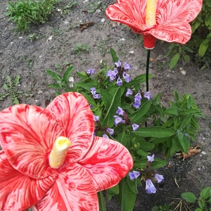 Kerámia hibiscus - otthon & életmód - dekoráció - virágdísz és tartó - csokor & virágdísz - Meska.hu