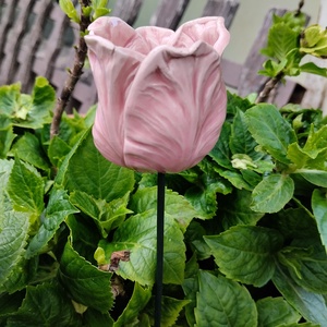 Andikeramia
