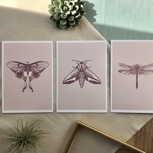 Szitakötő - Moly - Holdasszövő 3 db-os print - otthon & életmód - dekoráció - kép & falikép - több részes kép - Meska.hu