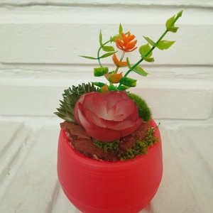 Mini pozsgás dekor, Otthon & Életmód, Dekoráció, Virágdísz és tartó, Csokor & Virágdísz, Mindenmás, MESKA