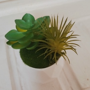 Pozsgás asztali dekor, Otthon & Életmód, Dekoráció, Virágdísz és tartó, Csokor & Virágdísz, Mindenmás, MESKA