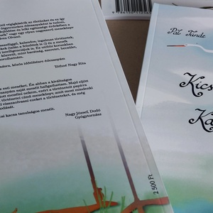 Kicsi Kacsa Kalandjai mesekönyv - könyv & zene - könyv - Meska.hu