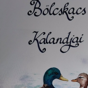 Bölcskacs Kalandjai mesekönyv, Könyv & Zene, Könyv, Festészet, MESKA