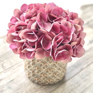 Rózsaszín hortenzia kaspóban , Otthon & Lakás, Dekoráció, Asztal és polc dekoráció, Asztaldísz, Mindenmás, MESKA