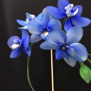 Harisnyavirág orchidea - Meska.hu