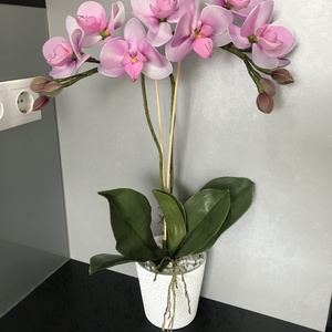 Harisnyavirág orchidea - otthon & életmód - dekoráció - Meska.hu
