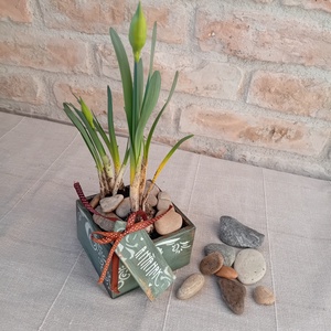 Tavaszi virágtartó dobozok - esküvő - dekoráció - helyszíni dekor - Meska.hu