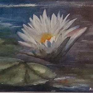 Tündérrózsa - Meska.hu