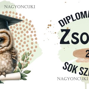 Névvel kérhető Bölcs Bagoly - 2026 évi Ballagásra mintás persely -  - Meska.hu
