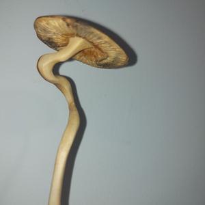 Gomba szobor - otthon & életmód - dekoráció - asztal és polc dekoráció - asztaldísz - Meska.hu