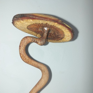 Gomba szobor - otthon & életmód - dekoráció - asztal és polc dekoráció - könyvszobor - Meska.hu