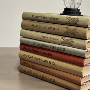 Ritka egyedi könyv lámpa olvasó asztali lámpa - otthon & életmód - lámpa - asztali lámpa - Meska.hu