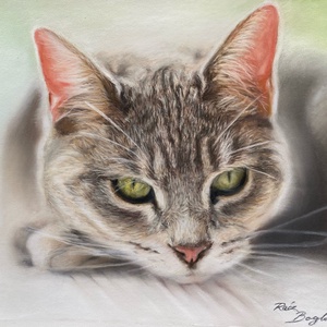 Állat portré fotóról, Művészet, Grafika & Illusztráció, Ceruzarajz, Fotó, grafika, rajz, illusztráció, MESKA