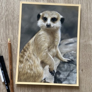 Állat portré fotóról - művészet - grafika & illusztráció - ceruzarajz - Meska.hu