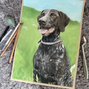 Állat portré fotóról - művészet - grafika & illusztráció - ceruzarajz - Meska.hu